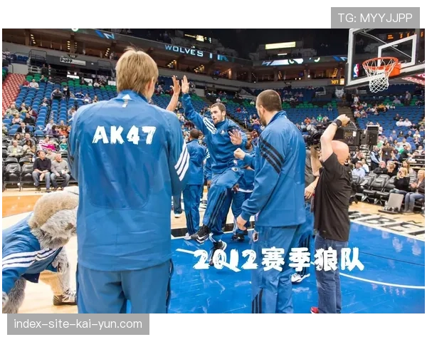 爱德华兹迪温琴佐赛季报销，森林狼次轮锋线全面崩塌。
